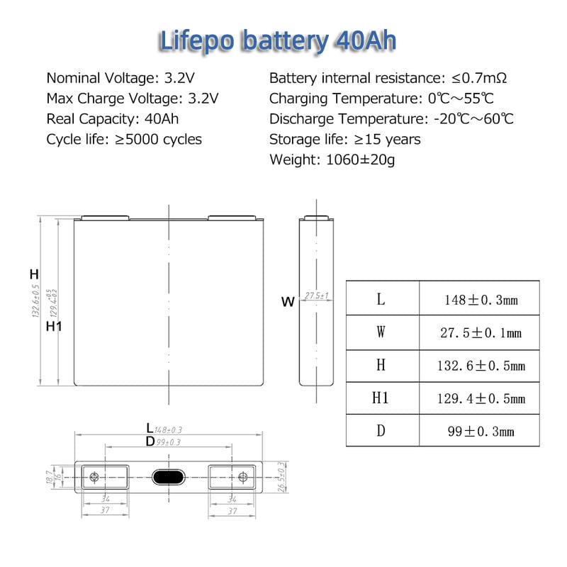 LS40-1_(6)